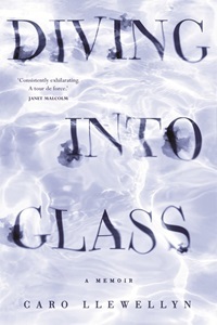 diving-into-glass.jpg