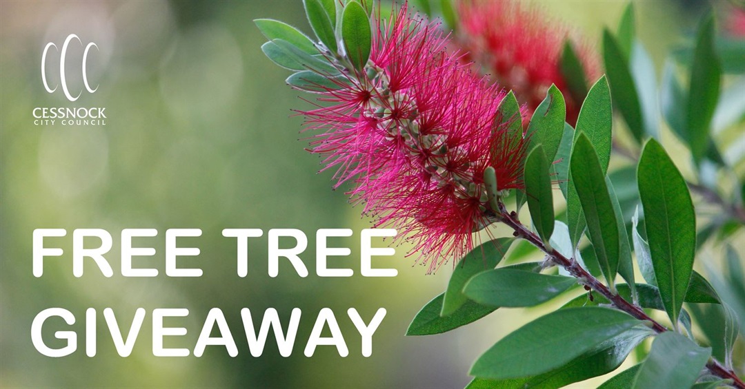 FREE TREES FOR NEW HOMES Cessnock City Council