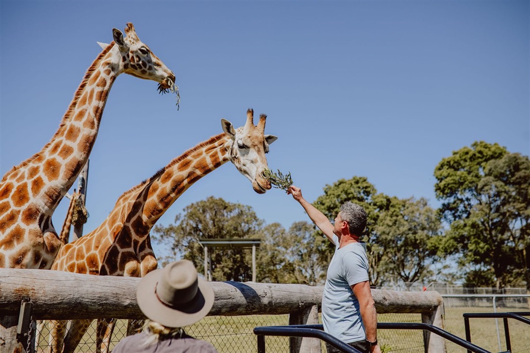 hunter-valley-wildlife-park-community-day-cessnock-city-council