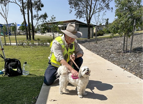 Ranger _ Greg _ small dog.jpg